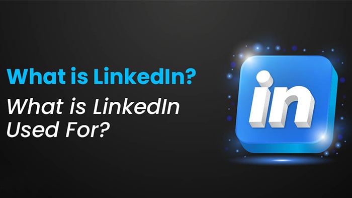 لینکدین چیست و چگونه در Linkedin فعالیت کنیم؟